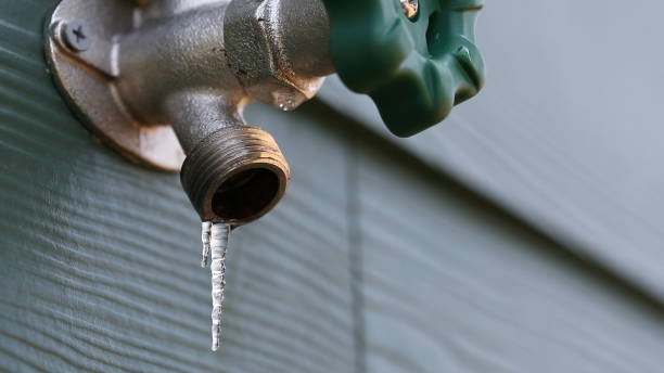 Best Affordable Plumbing Services  in Dunnellon, FL